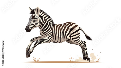 Wild zebra with bold black and white stripes gallops across the dry savanna ground kicking up a small cloud of dust.