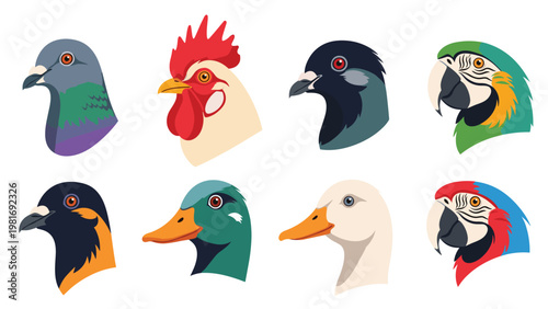 Collection of eight diverse bird heads including pigeons, a rooster, ducks, and colorful parrots on a white background.