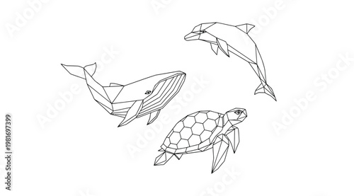 Photography Geometric low poly style illustrations of marine animals