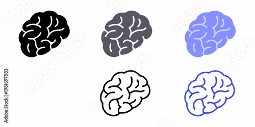 Three brain illustrations in varying shades and a lighter pair
