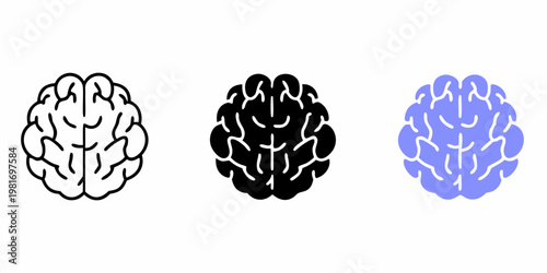 Three stylized brain illustrations in varying colors and outlines