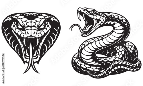 Cobra Snake Head and Coiled Serpent Vector Illustration Aggressive Reptile Design