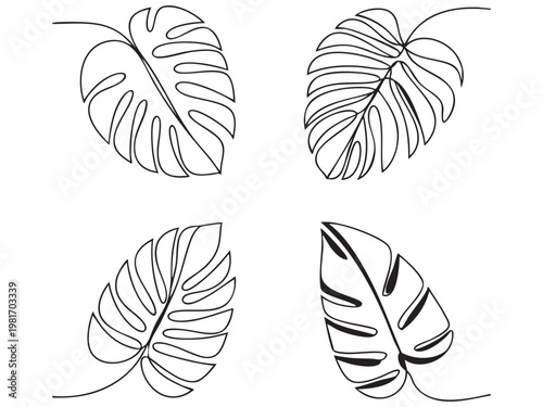 Abstract tropical vector leaf line art collection