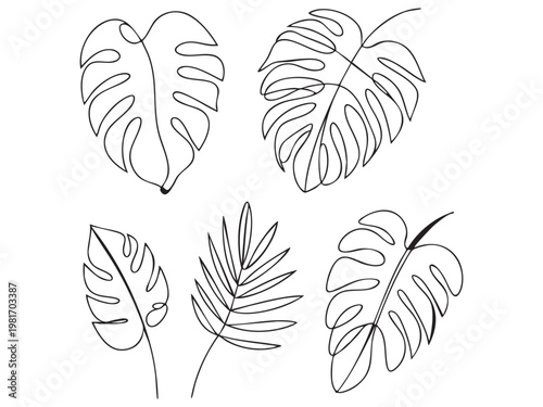 Abstract tropical vector leaf line art collection