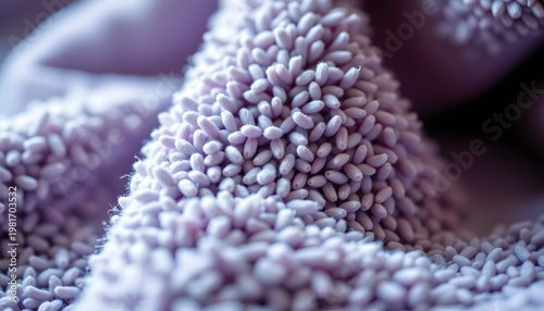 A close up view of purple seedpods against a blurred background, highlighting their textured surface and small, round seeds that suggest they might be used for medicinal or culinary purposes.