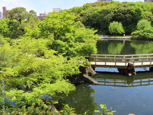 Japanese garden pond with wooden bridge and fresh greenery