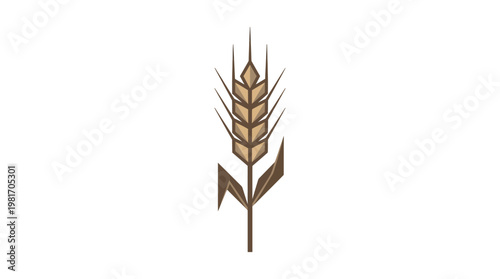Wheat grain ear of cereal plant.