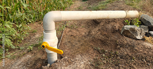 Bild auf Leinwand valve pipe at agriculture field