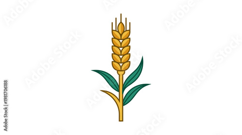 Wheat grain plant cereal crop.