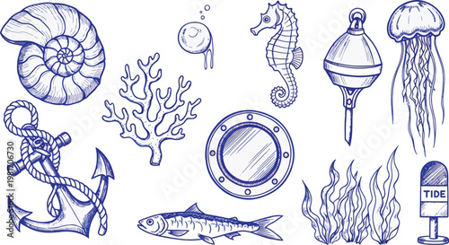 Hand Drawn Nautical Elements Collection Featuring Marine Life And Maritime Equipment Vector Illustration