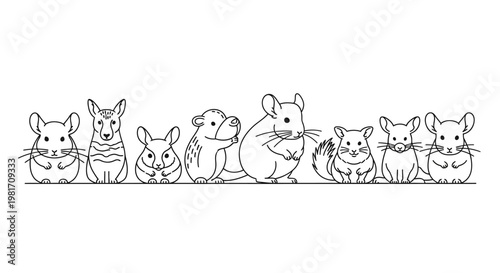 Collection of Cute Rodent and Small Mammal Line Art Illustrations