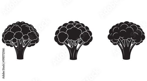 Black and white illustrations of broccoli side view with white outline  three different silhouettes of cauliflower with thick stems and dense florets