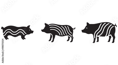 Black pig silhouettes with white stripes in different poses on white background