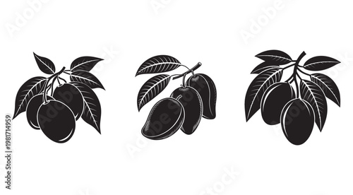 Blackandwhite illustrations of mango fruits with leaves on branch  tropical fruit icons