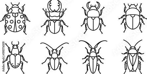 Beetle Icon Set, Featuring Different Species in Minimalist Line Art Style for Insect and Nature Themes