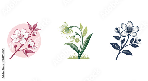 Collection of three different flower illustrations in pink green and blue colors on white background  floral designs with leaves and blossoms