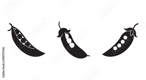 Pea pods in different stages of opening with peas inside isolated on white background for food and vegetable concepts