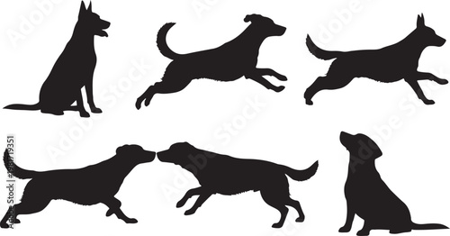 dog different poses silhouette set black