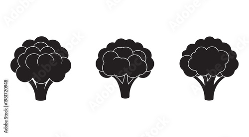 Three black and white silhouettes of broccoli heads with white outlines on a plain white background  vegetable icons