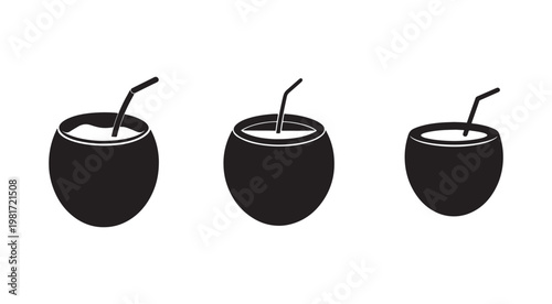 Three black coconuts with straws for drinking tropical beverages  refreshing summer drinks  exotic fruit  healthy hydration