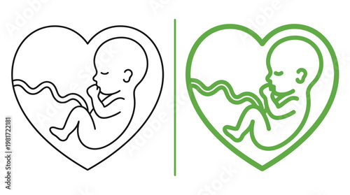 Fetal development illustration comparing black and white to colorized embryonic stages