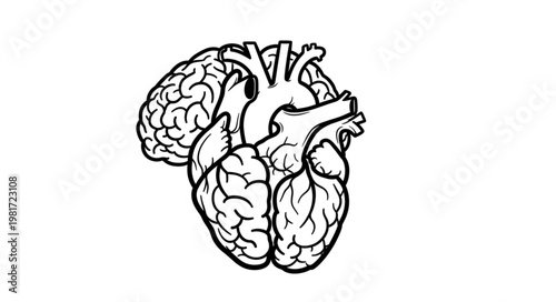 Anatomical illustration of human heart and brain connected.