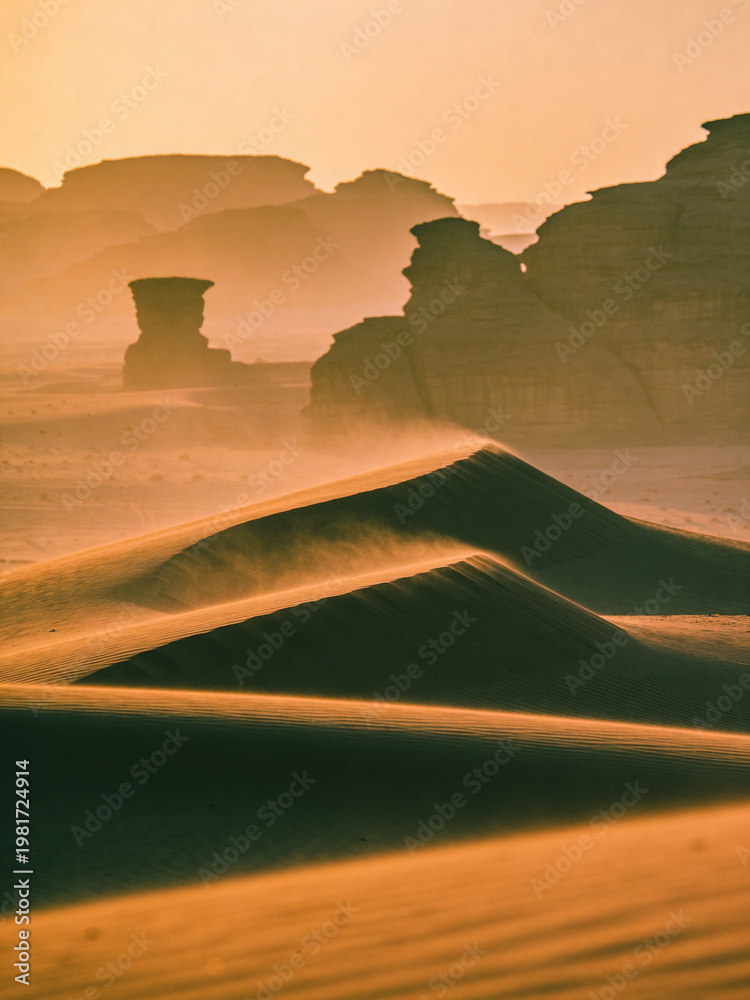 Obraz premium Atmospheric Nature Sand Dune Textures at Golden Hour