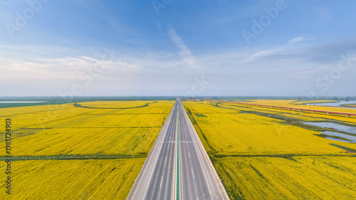 Wallpaper Mural Straight Highway Cutting Through Endless Golden Rapeseed Fields Under Expansive Blue Sky Torontodigital.ca