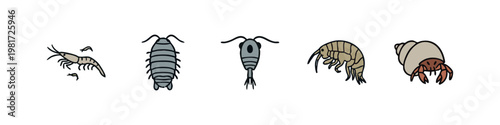 Small Crustaceans and Marine Biology Icon Set with Woodlouse Plankton and Hermit Crab