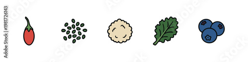Set of Hand Drawn Superfood Icons with Goji Berry Kale Leaf Chia Seeds and Blueberries