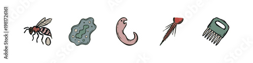 Set of Hand Drawn Microscopic and Biological Icons Including Amoeba Larva and Bee Egg