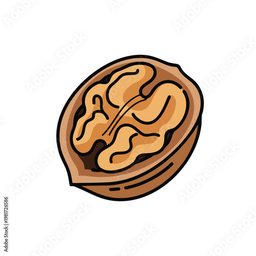 Close up of a Whole Walnut in Its Shell on a White Background