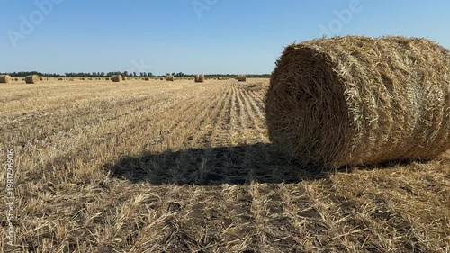 Large hay bale on a harvested wheat field with dry straw texture. 
Wide rural landscape with multiple bales under clear sky. 
Strong agricultural mood with warm golden tones