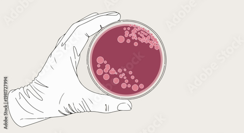 Hand in glove holding petri dish with pink colonies