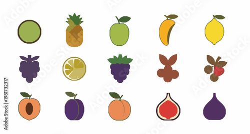 Minimal flat fruit and berry icon set with modern colorful vector elements for packaging labels and organic food design
