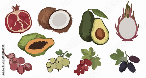 Vintage engraved fruit and berry vector collection with botanical hand drawn style for farm shop branding and organic labels
Keywords: