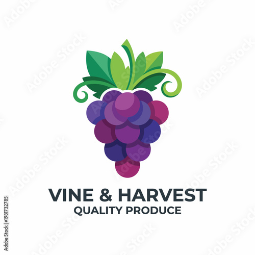 This captivating image features a cluster of grapes artistically rendered, symbolizing quality, freshness, and the bountiful harvest of vineyards for producing premium products.