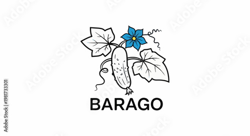 Hand-drawn cucumber plant with a blue flower and stem details