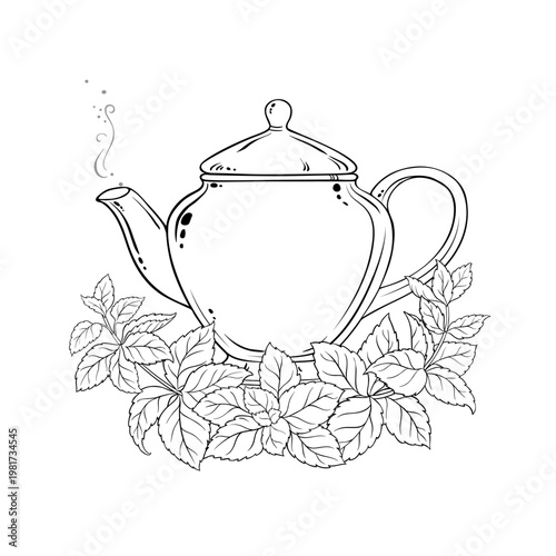 Melissa Tea in Teapot aroma beverage Outline Illustration. Vector isolated for Design and Decoration for Cafeteria, Posters, Banners, Cards.