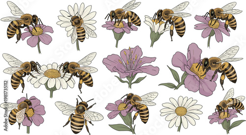 Green grass blades macro view with soft natural background, fresh spring meadow foliage texture, botanical nature growth concept isolated on white background