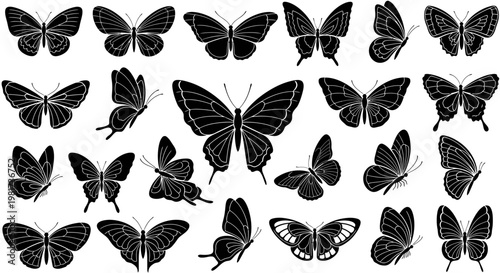 Collection of various butterfly silhouettes.