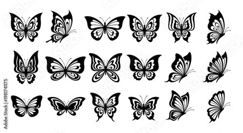 Collection of various butterfly illustrations.