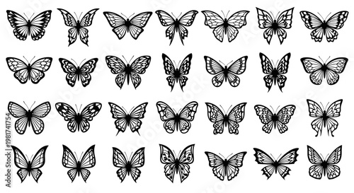 Collection of various butterfly illustrations.