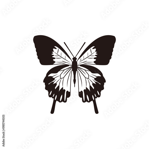 綺麗な蝶々のアイコン
