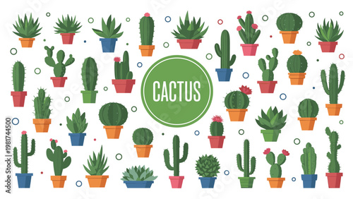 Large collection of various green cactus and succulent plants in colorful pots on a white background with geometric icons.