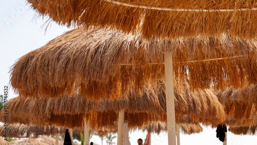 Warm sun bathes straw umbrellas at beachside