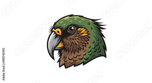 Illustration of Kakapo Parrot Head Portrait.