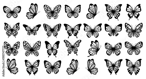 Collection of various butterfly illustrations.