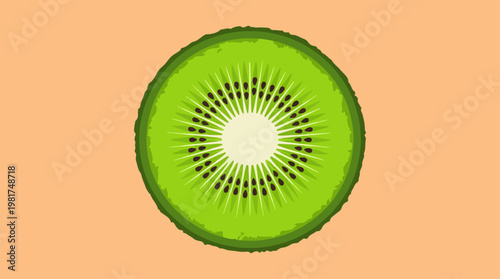 Fresh green kiwi fruit slice closeup.