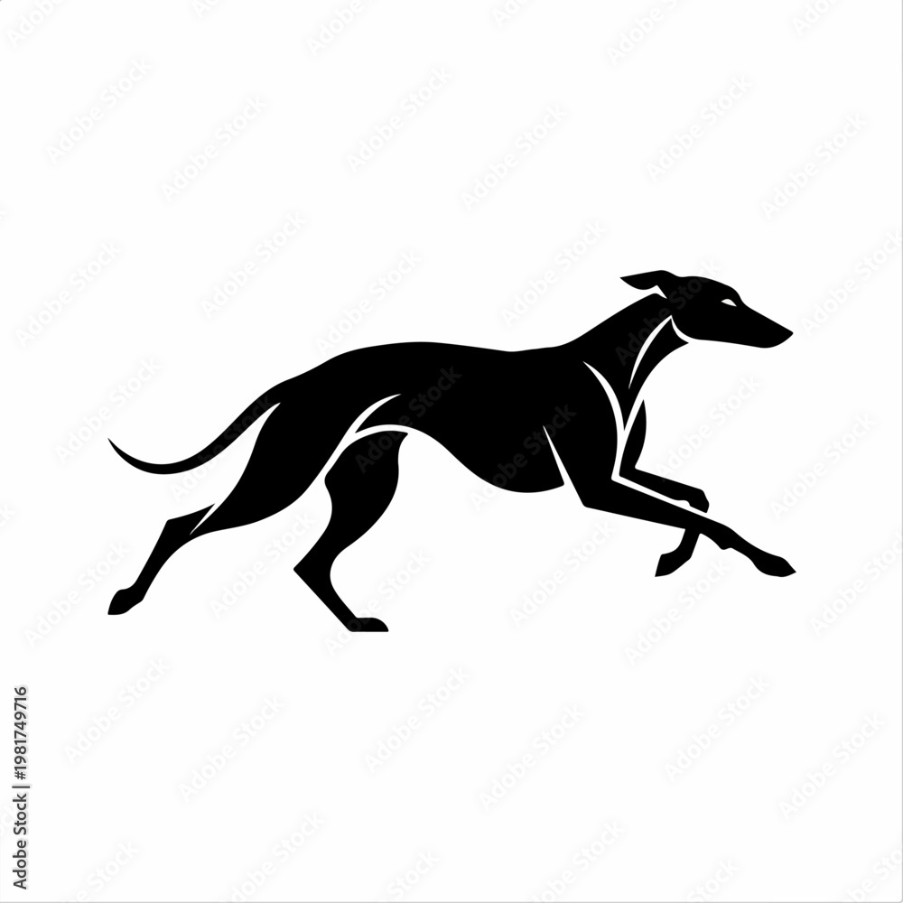 Fototapeta premium Greyhound dog running fast silhouette.